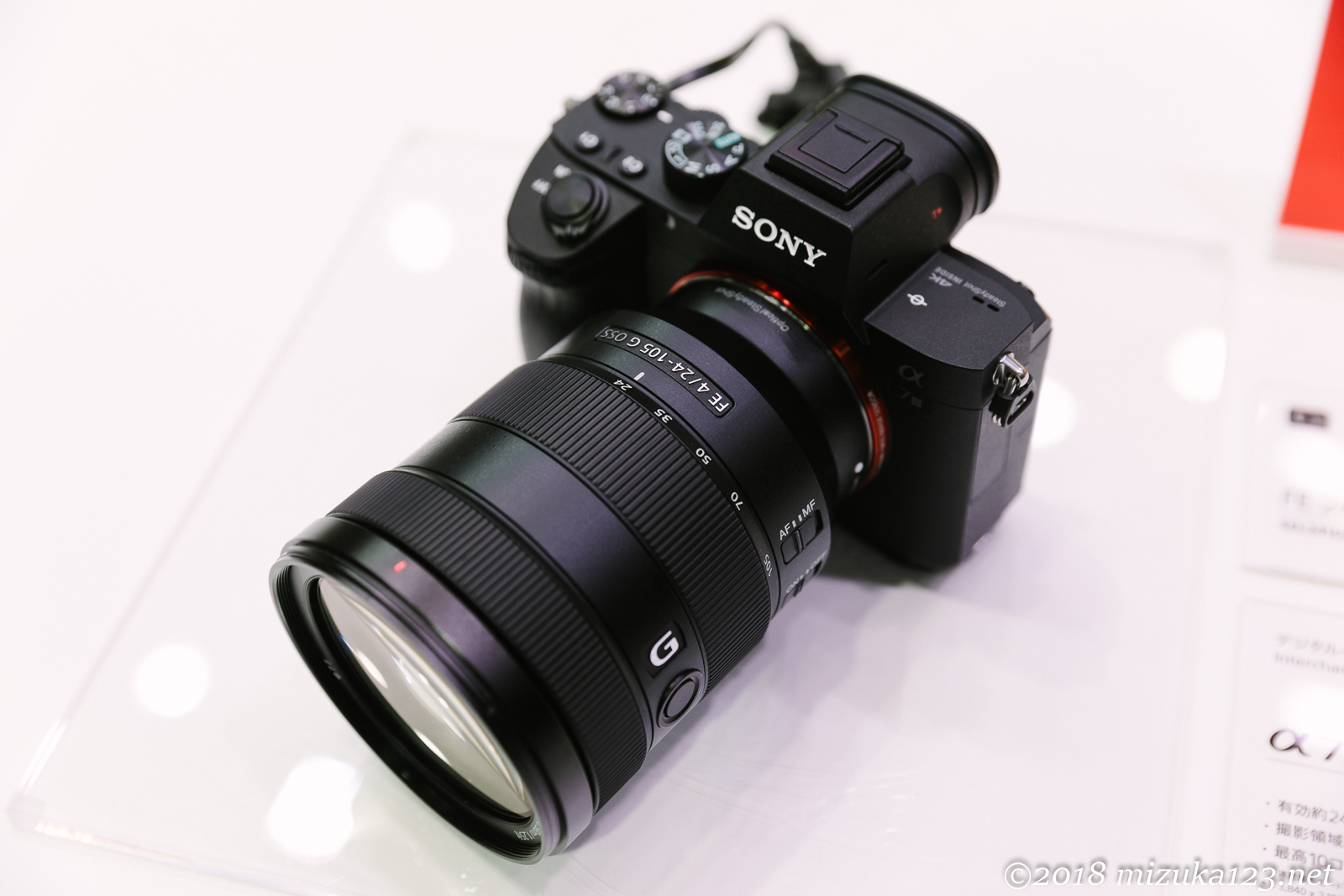 Canon EOS 5D Mark IV - EF24-70mm f/2.8L II USM - 1/50 秒 (f / 4.0) - ISO 250